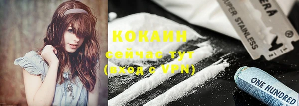винт Каменка