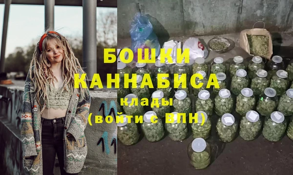 гидра Верея