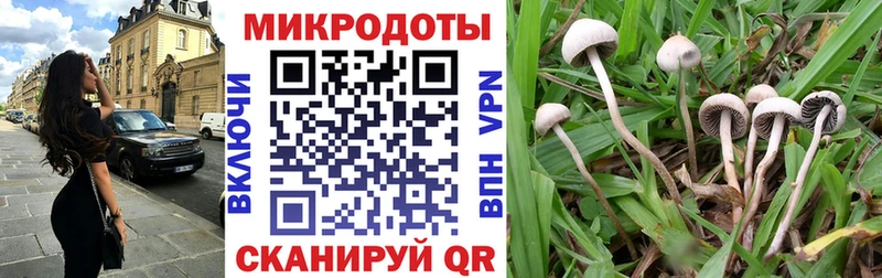 Галлюциногенные грибы прущие грибы  Жуков 